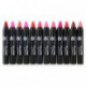 12pc Nabi Cosmetics Professional Selected MATTE Lip Color Lipstick Set de 12 Shades