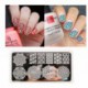 Né Jolie Nail Modèle Stamping Nail Printing Plates Vines Plate Image Dentelle Chevron BP-L028